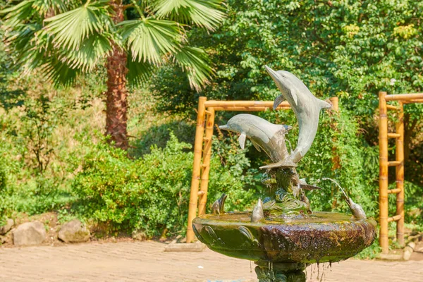 Fountain Dolphins Botanical Garden Batumi High Quality Photo — 스톡 사진