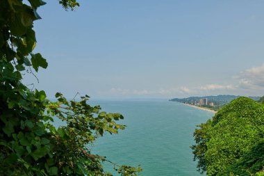 Batumi 'deki botanik bahçesinden deniz manzarası. Yüksek kalite fotoğraf