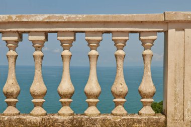 Batumi 'deki botanik bahçesinde açık çit. Yüksek kalite fotoğraf