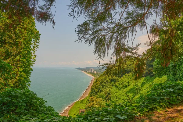 Batumi 'deki botanik bahçesinden muhteşem deniz manzarası. Yüksek kalite fotoğraf