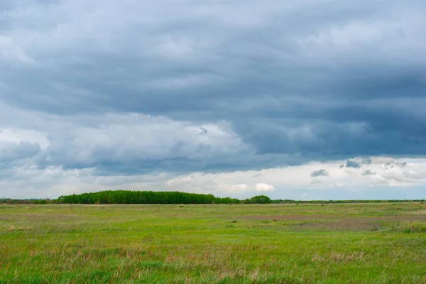 picturesque steppe landscape in summer before rain. High quality photo
