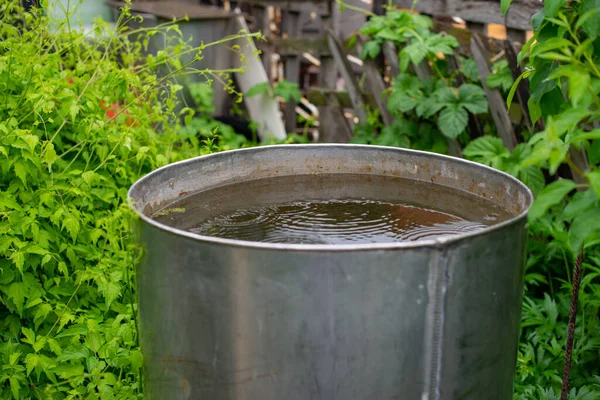 a water tank stands on the lawn. High quality photo