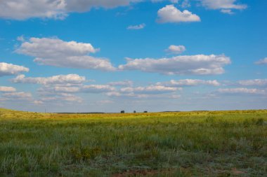 very beautiful nature of Kazakhstan in summer. High quality photo