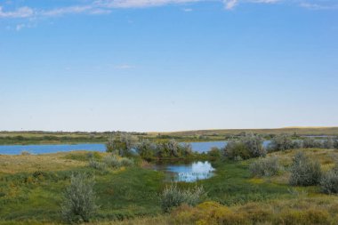 picturesque landscape of seleta river and beach in Kazakhstan.High quality photo