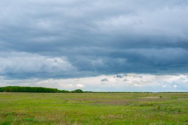 gorgeous steppe landscape in summer before rain. High quality photo