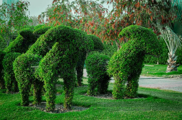 Sheeps in a part created by wires and plants