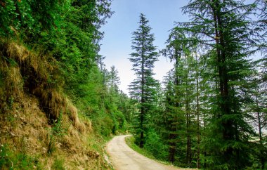 Sonsuz yolculuğun için sonsuz bir yol.