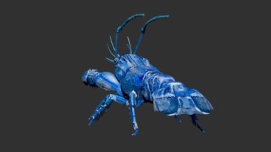 Mavi Kerevit Modelinin CG Turntable 'ı