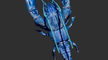 Mavi Kerevit Modelinin CG Turntable 'ı