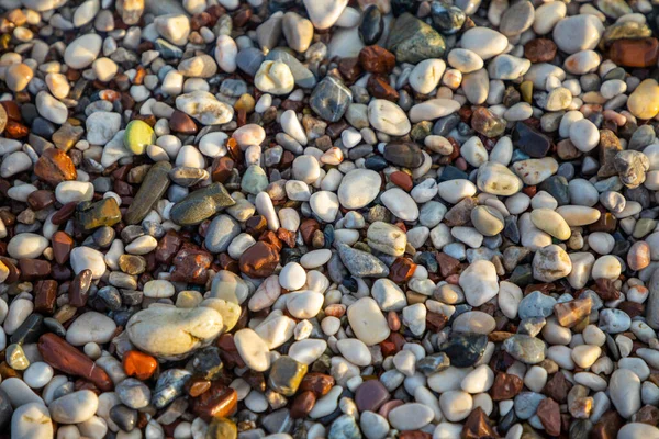 Sfondo di pietre umide su una superficie di spiaggia vicino ad acqua — Foto Stock