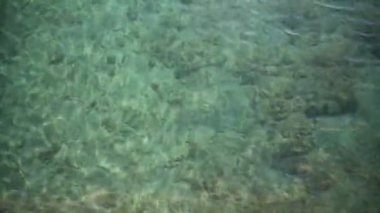 Kum deniz tabanının yüzeyindeki dalgalar berrak ve sakin mavi deniz suyu, sudaki balıklar, doğa dokusu.