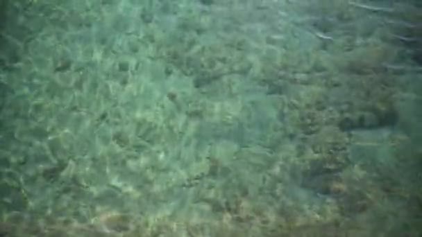 Wellen auf der Oberfläche des sandigen Meeresbodens, klares und ruhiges blaues Meerwasser, Fische im Wasser, Naturtextur — Stockvideo