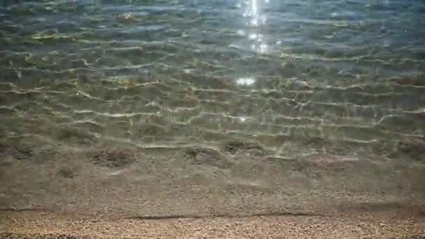 Ondulações na superfície do fundo do mar de areia, água do mar azul clara e calma, peixes na água, textura da natureza — Vídeo de Stock