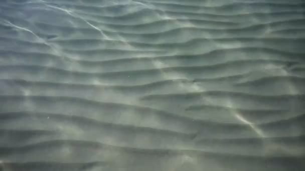 Wellen auf der Oberfläche des sandigen Meeresbodens, klares und ruhiges blaues Meerwasser, Fische im Wasser, Naturtextur — Stockvideo
