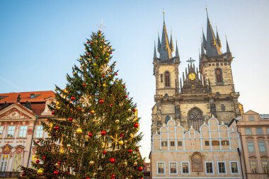 Prag, Çek Cumhuriyeti - 22.12.2021: Çek Cumhuriyeti Prag 'daki Eski Kent Meydanı' nda Noel ağacı ve süslemeleri