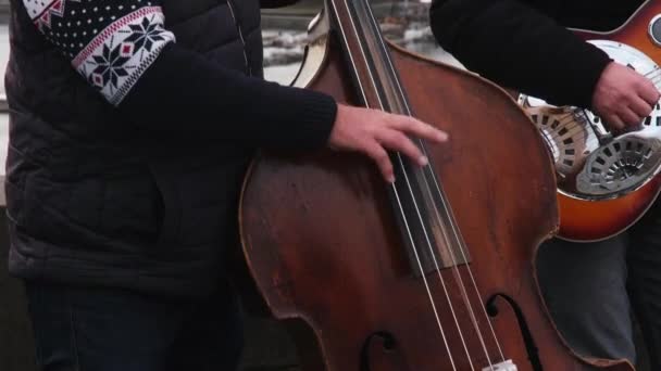 Неизвестные уличные музыканты играют джаз и народную музыку на Карловом мосту в Праге, Чехия — стоковое видео