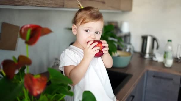 Sarışın bebek mutfakta elma yiyor. Çocuklar için sağlıklı yiyecek kavramı. — Stok video