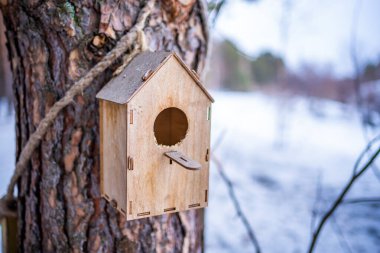Rusya 'nın Sibirya kentindeki kış ormanlarında çam ağacının üzerindeki ahşap kuş evi.