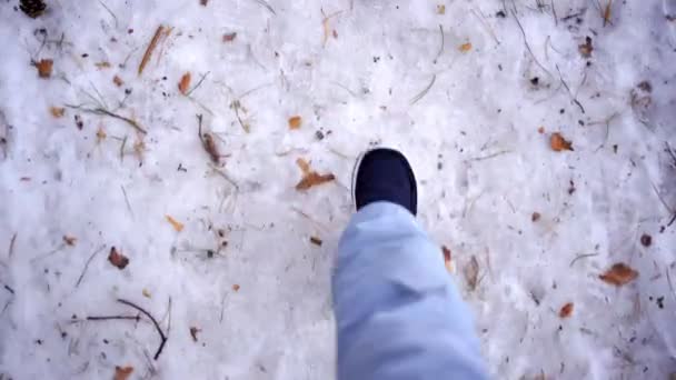 Женщина в зимних туфлях ходит по снегу в сосновом лесу, Сибирь, Россия — стоковое видео