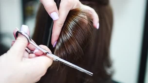 Aproape de coafor de sex feminin face coafura pe bruneta femeie în salon, tăierea părului cu foarfece. — Videoclip de stoc