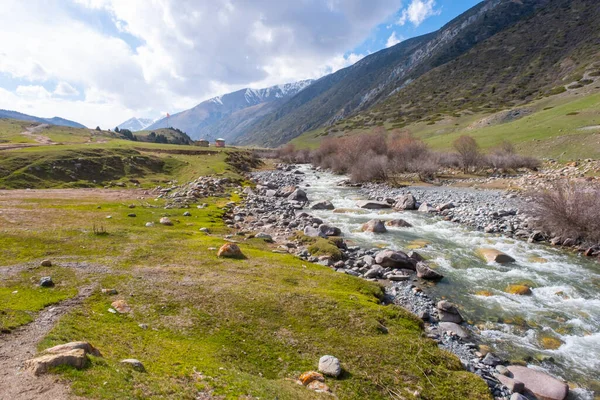 Beautiful mountain river with strong current, foam and water splashes. Beautiful mountain river with spruces forest growing around. — Stock Photo, Image