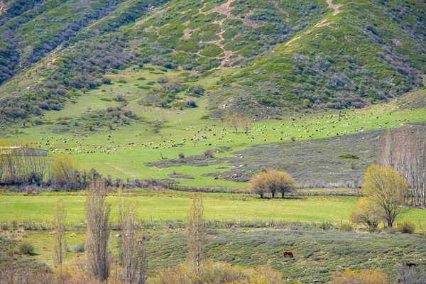 Blick auf die Berglandschaft zur Frühlingszeit in Kirgisistan. — Stockfoto