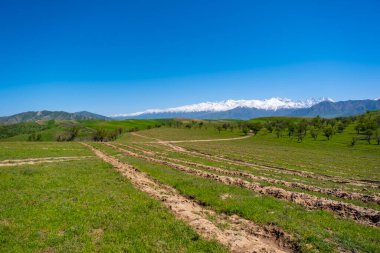 Kırgızistan kırsalında dağlar, ağaçlar ve gökyüzü
