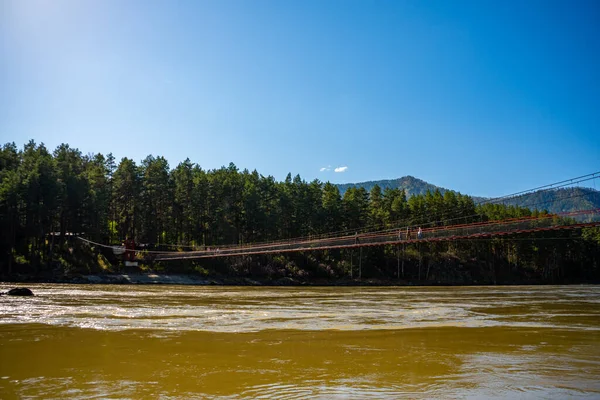 Bahar zamanı Katun nehri üzerindeki yaya köprüsü, Altai, Rusya