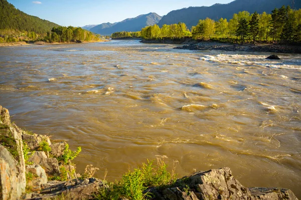 Altay manzarası, Katun dağı ve bahar zamanı yeşil kayalar, Sibirya, Altai Cumhuriyeti