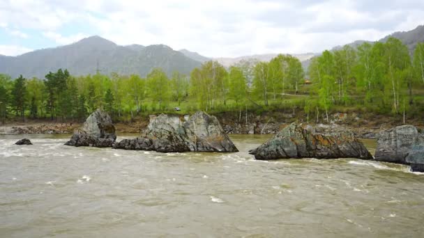 Olağanüstü doğal cisimler - ejderha dişleri - Altai dağlarının Katun nehrinde arka planda güzel tayga bölgesi, Sibirya, Rusya — Stok video