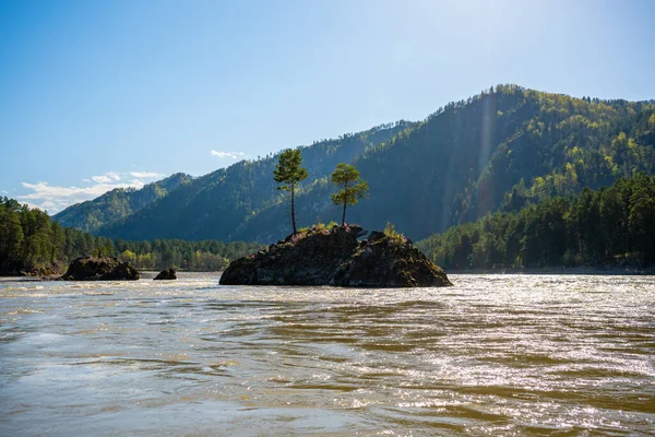 Rock Looks Bear Island Middle Katun River Altai High Quality — Stock Photo, Image