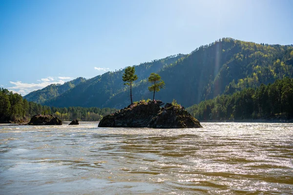 Stâncă Care Arată Urs Insulă Mijlocul Râului Katun Din Altai — Fotografie, imagine de stoc