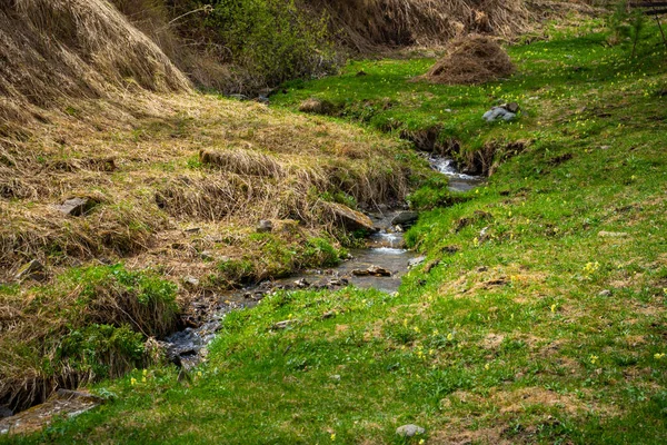 Přírodní pozadí s malým horským potokem. Altai zeleň a pramenitá voda, Rusko — Stock fotografie