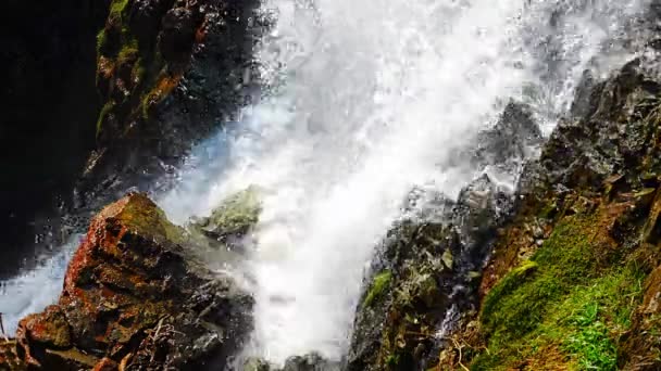 Cascada Kamysh a la luz del atardecer, primavera en la República de Altai, Siberia, Rusia — Vídeos de Stock