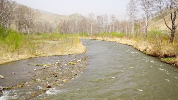 Turbid νερό του ποταμού Chuya στην Αλτάι Δημοκρατία, φύση τοπίο με βουνά, ποτάμια και δέντρα στη Ρωσία — Αρχείο Βίντεο