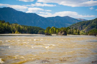 Altay 'da Katun dağı ve baharda yeşil kayalıklarla, Sibirya' da, Altai Cumhuriyeti 'nde. Yüksek kalite fotoğraf