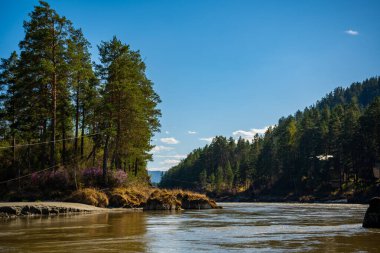 Altay 'da Katun dağı ve baharda yeşil kayalıklarla, Sibirya' da, Altai Cumhuriyeti 'nde. Yüksek kalite fotoğraf
