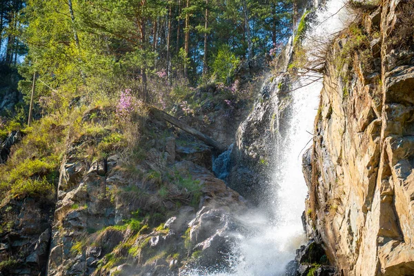 Kamysh vattenfall vid solnedgången ljus, vår tid i Altai republiken, Sibirien, Ryssland — Stockfoto