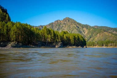 Altay 'da Katun dağı ve baharda yeşil kayalıklarla, Sibirya' da, Altai Cumhuriyeti 'nde. Yüksek kalite fotoğraf