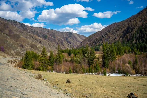 Scenic view from mountain pass to forest valley among mountain ranges and hills on horizon at changeable weather in spring time in Altai, Russia. High quality photo