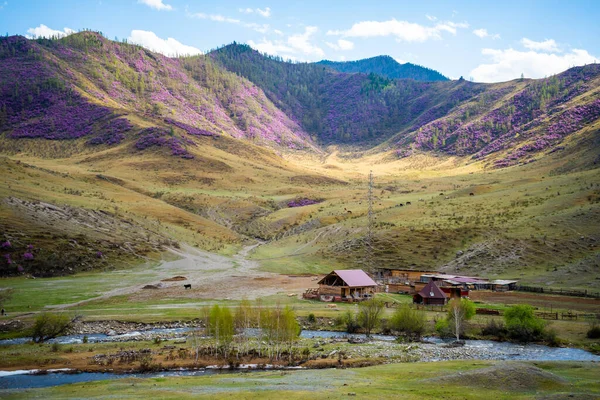 Chuysky Tractus Vue Route Montagne Avec Belles Vues Dans Altaï — Photo