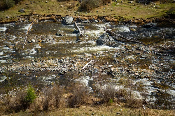 Mętna Woda Rzeki Chuya Republice Altajskiej Krajobraz Przyrody Górami Rzeką — Zdjęcie stockowe