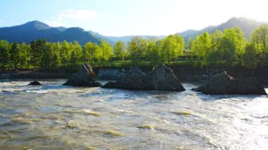 Dikkate değer doğal nesneler - ejderha dişleri - Altai dağlarının Katun Nehri 'nde arka planda güzel tayga bölgesi, Sibirya, Rusya. Yüksek kalite 4k görüntü