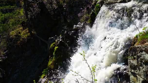 Cascada Kamysh Luz Del Atardecer Primavera República Altai Siberia Rusia — Vídeos de Stock