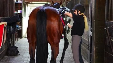 Ahırda vakit geçirirken kahverengi atına kask takan hoş bir genç kadın. Yüksek kalite 4k görüntü