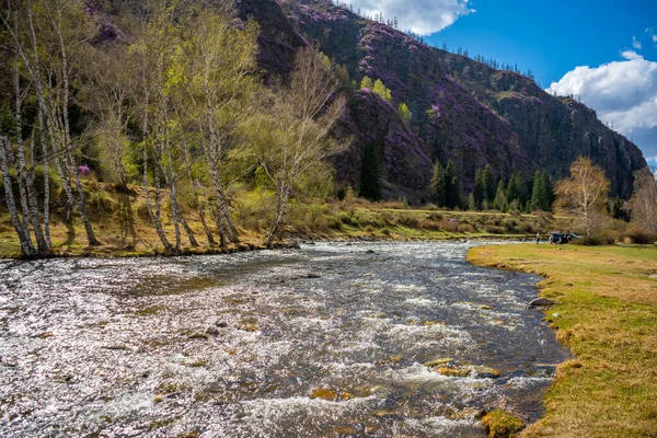 アルタイ共和国のチュヤ川の濁った水 ロシアの山々 川や木と自然景観 高品質の写真 — ストック写真