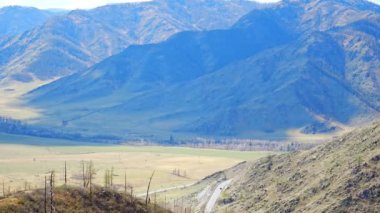Küçük dağ akıntısı olan doğa arkaplanı. Altai yeşilliği ve kaynak suyu, Rusya. Yüksek kalite 4k görüntü
