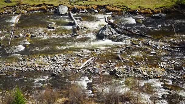 Agua Turbia Del Río Chuya República Altai Paisaje Natural Con — Vídeos de Stock