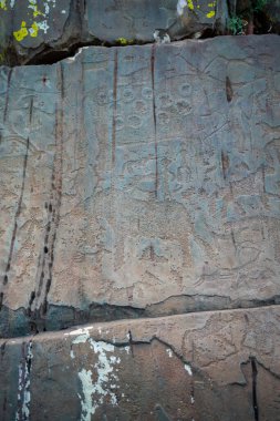 Taş duvara çizilmiş figürler. Rusya 'nın Altai Cumhuriyeti dağında kaya resimleri. Yüksek kalite fotoğraf