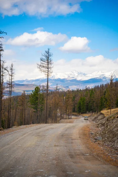 Camino Fondo Hermosas Montañas Bosque Primavera Altai Rusia Foto Alta — Foto de Stock